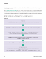 Director Candidate Selection and Evaluation